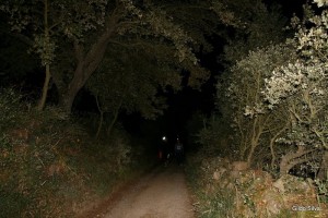 3_img_7609 3_img_7609