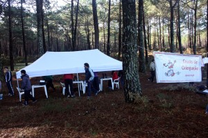 Local de trabalho na floresta, na tenda COC com a Escola COC presente  