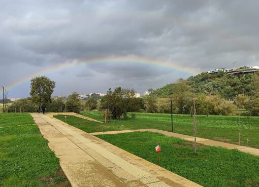 Fotografia de Carlos Palheira