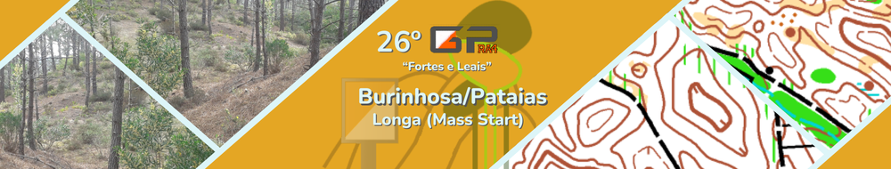 BANNER GOOGLE